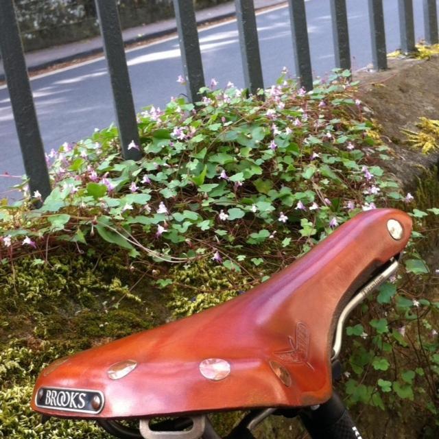沙夫茨伯里Number 5住宿加早餐旅馆 外观 照片